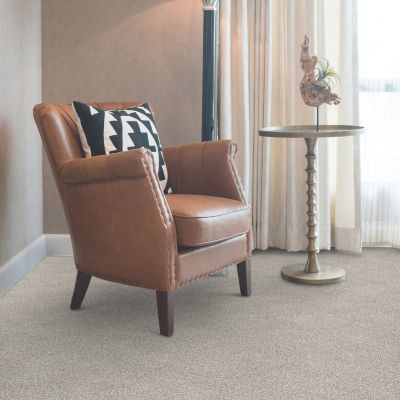 carpet in a baton rouge living room